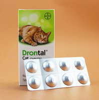 犬猫驱虫