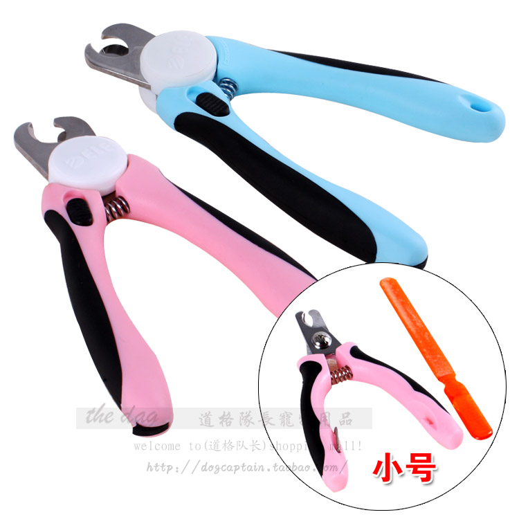 十二种宠物美容常用工具