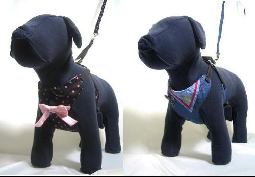 如何给狗狗带狗绳