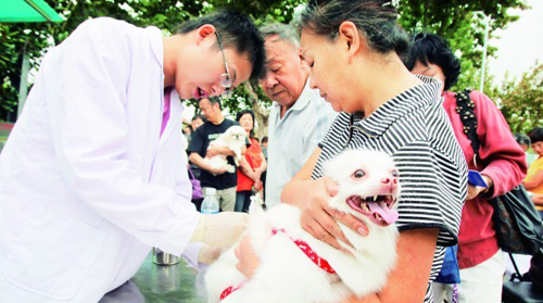 宠物犬疫苗品牌种类选择