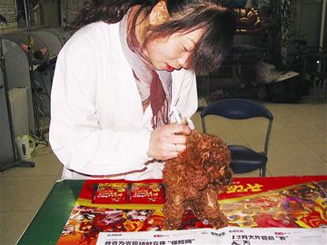 宠物犬疫苗原理及注意事项