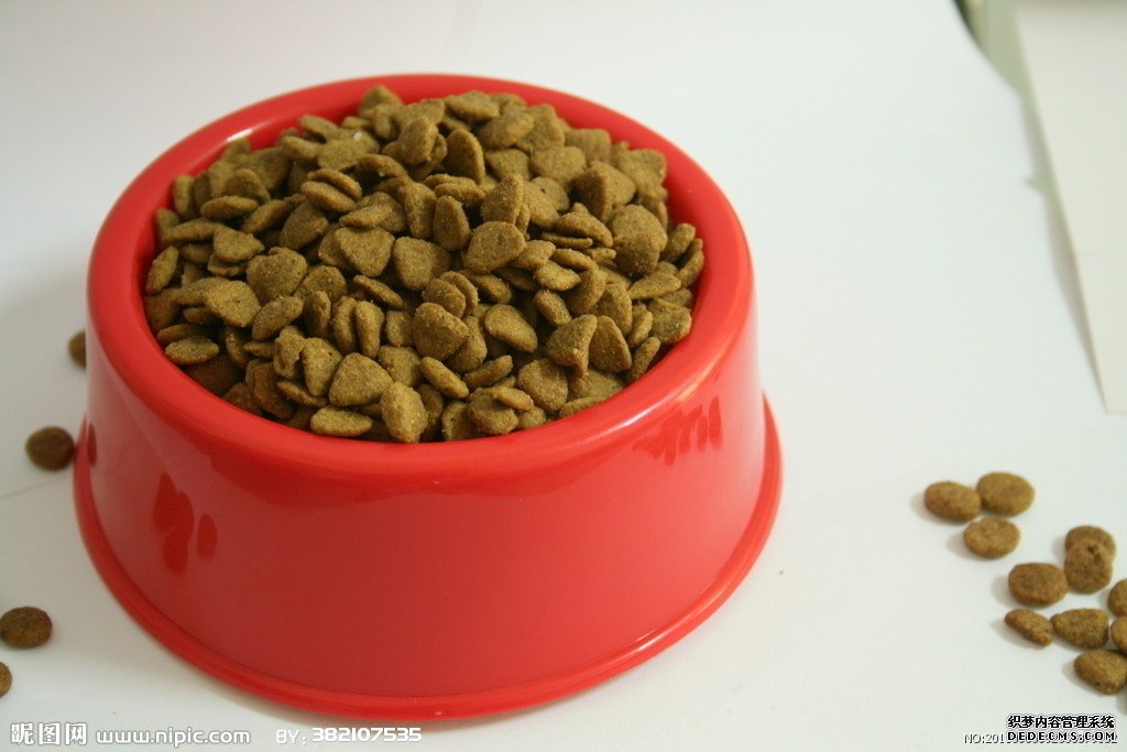 如何选择狗粮?狗粮哪个牌子好