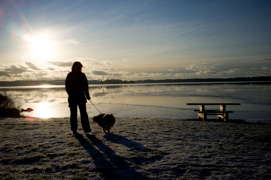 带狗狗散步的好处及注意事项