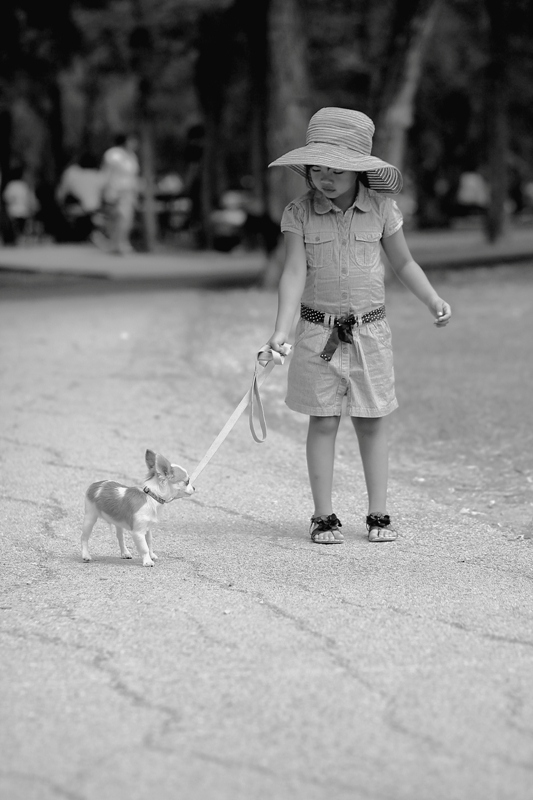 如何正确牵引狗狗散步