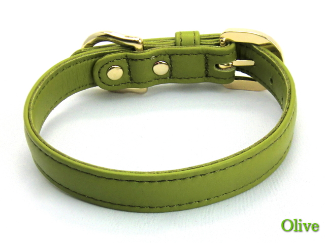 如何给宠物犬选择项圈和胸背带