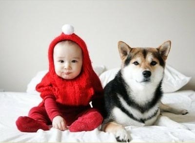 如何避免狗狗竞争性攻击小孩