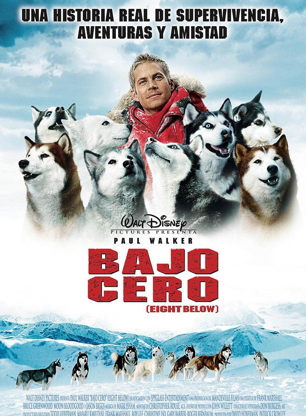 关于哈士奇的电影大全