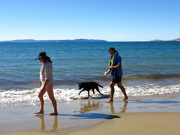 狗狗老爱跟着我怎么办