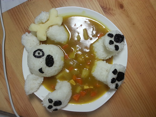 狗狗爱心营养餐：咖喱鸡