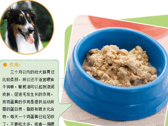 宠物幼犬期的饮食搭配