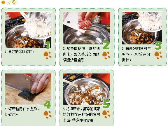 宠物犬青少年期的食物营养成分