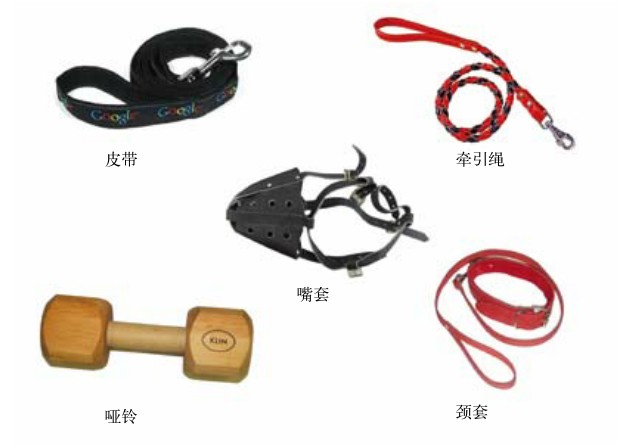 家庭训练狗狗的常用工具