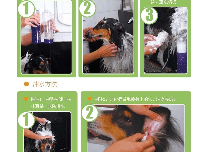 在家怎么给狗狗正确洗澡