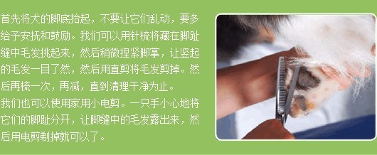 为什么要给宠物狗修剪底毛