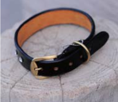 狗狗项圈的几种类型与优缺点