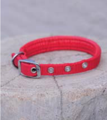 狗狗项圈的几种类型与优缺点