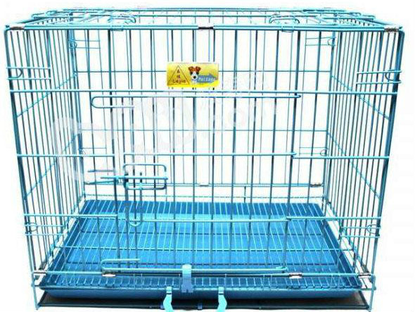 怎样训练狗狗进入笼子里