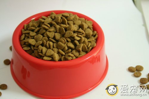 伊萨狗粮怎么样