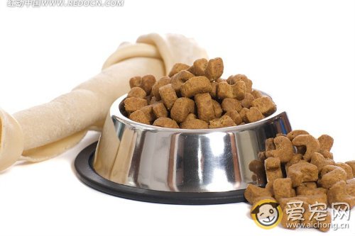 成犬古牧吃什么狗粮好