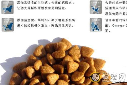 雷米高狗粮怎么样