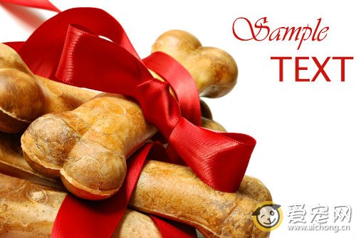 萨摩耶吃什么狗粮好