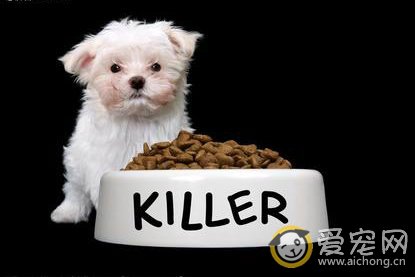 希尔斯狗粮怎么样