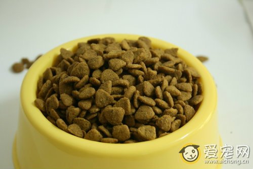 发育宝狗粮怎么样