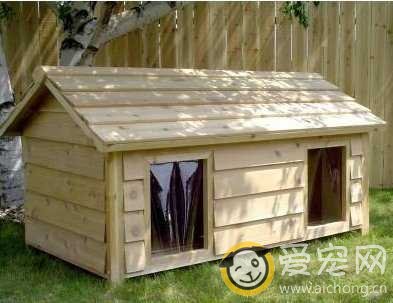 如何做好的犬舍卫生管理工作