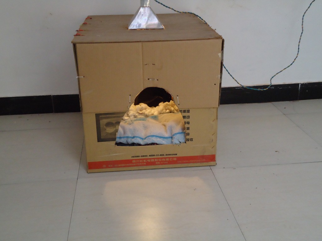 宠物犬生产前产房该如何布置