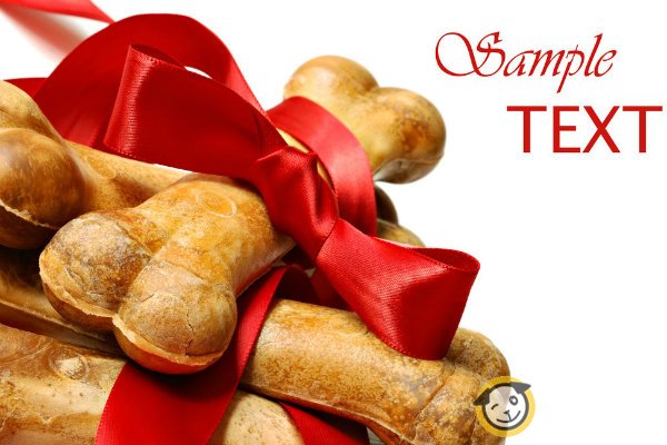 如何防止狗粮受潮