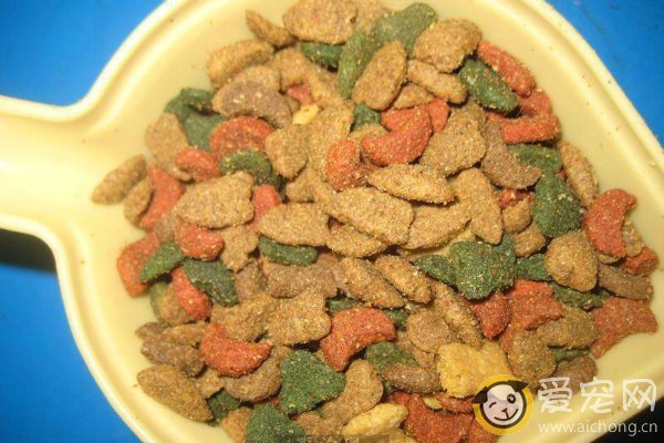 猫粮哪种好 各种猫粮的特点和好处