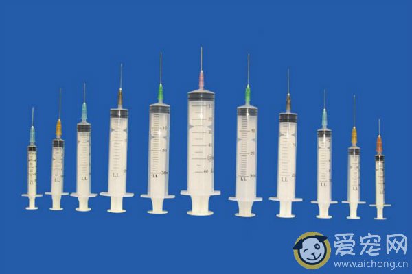 猫疫苗什么时候打 怎么打