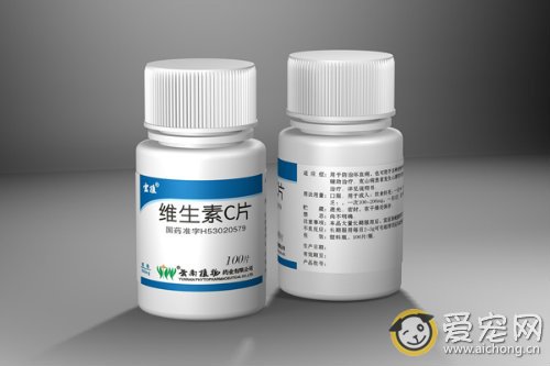 猫怎么补充维生素C
