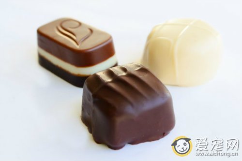 猫咪能吃巧克力吗