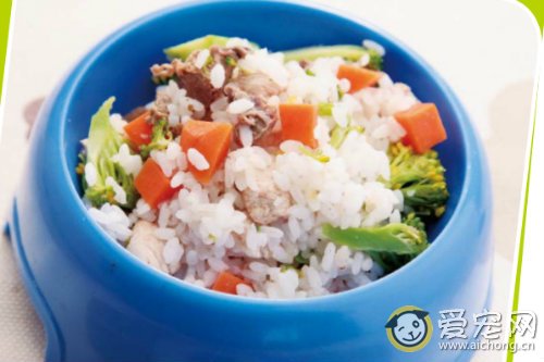 哈士奇幼犬自制狗粮怎么做