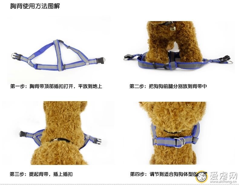 如何为狗狗选择合适的牵引绳