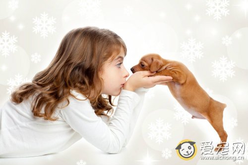 怎么和小狗建立培养感情