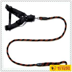 如何给狗狗选择牵引绳