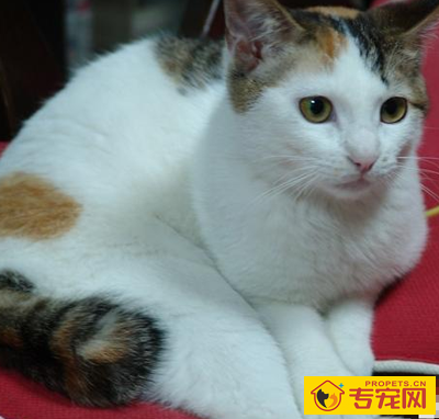 undefined{{pos:,w:,h:}}