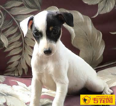 undefined{{pos:,w:,h:}}