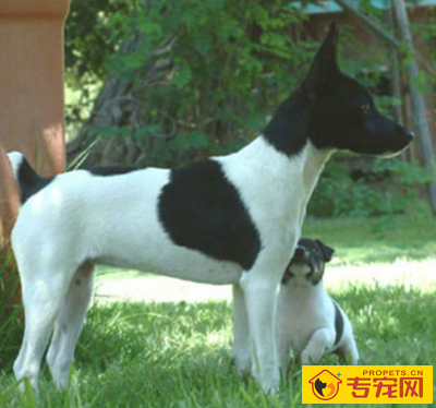 undefined{{pos:,w:,h:}}