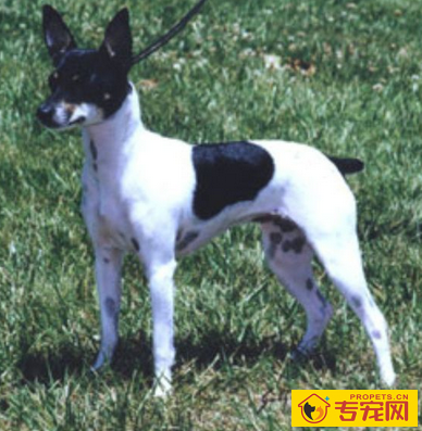 undefined{{pos:,w:,h:}}