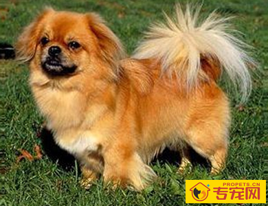 undefined{{pos:,w:,h:}}