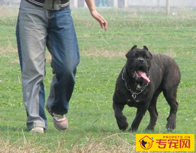 undefined{{pos:,w:,h:}}