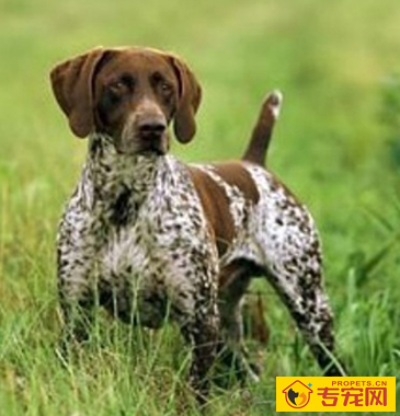 undefined{{pos:,w:,h:}}