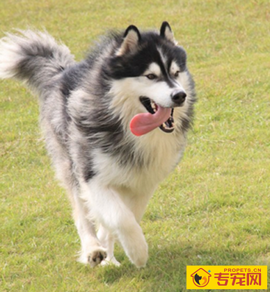 undefined{{pos:,w:,h:}}