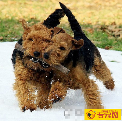 undefined{{pos:,w:,h:}}