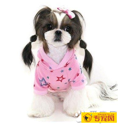 undefined{{pos:,w:,h:}}