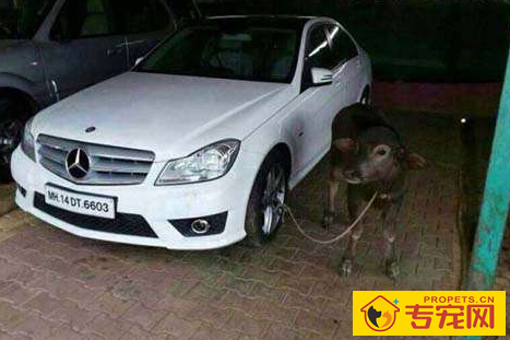 undefined{{pos:,w:,h:}}