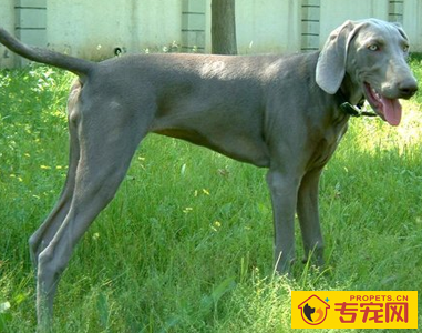 undefined{{pos:,w:,h:}}